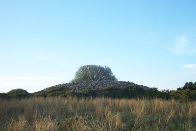 Martano