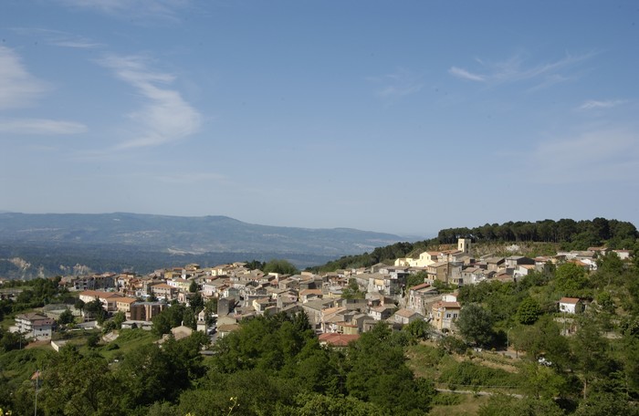Migliorino Panoramica