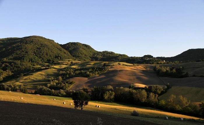 Montesegale Colline