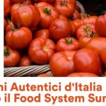Food-System-Summit