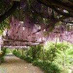 Giardino-segreto-della-anima-foto-antonio-de-marco