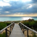 Maruggio-Dune-di-Campamarino
