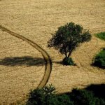 Montesegale-Borgo-Autentico-d-Italia-buon-governo