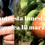 Montresta-Innesta