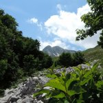 pizzone meta e rhamnus