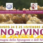 vino-al-vino