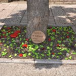 Vivere-a-colori-castelnuovo-della-Daunia