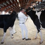 saluzzo mostra meccanica agricola e mostra regionale della frisona