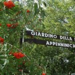55-anni-Giardino-della-Flora-Appenninica-Capracotta
