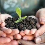 coltiviamo_agricoltura_sociale