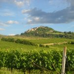 Bertinoro-vista-dai-vigneti