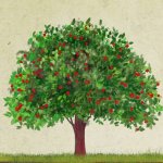 Il bosco del tempo