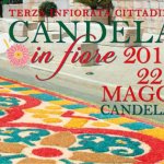 candela in fiore