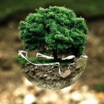 collegato ambientale alla legge di stabilità