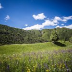 forni di sotto, udine, paesaggio primaverile, weekend all'insegna della natura