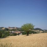 montesegale