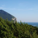 man and biosphere
