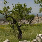 Minervino Murge escursione borghi autentici d'italia