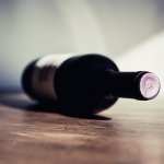 minervino murge vino 