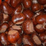 Monte Santa Maria Tiberina castagne