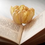 montesegale presentazione libro
