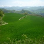 paesaggio 
