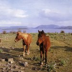 borgo autentico di orroli cagliari sardegna cammino 