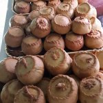 Cuglieri-panadas