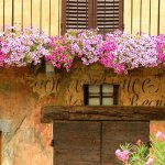 patto-dei-sindaci-cura-e-bellezza