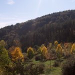 pietralunga colline autunno