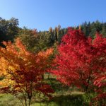 pietralunga Passeggiata tra natura e sapori nella valle del Carpina