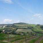 predappio borghi autentici d'italia vigneti