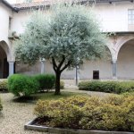 Saluzzo-chiostro-san-giovanni