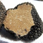 sante marie seconda edizione della sagra del tartufo