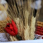 sardara sagra del grano