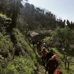 sentieri-pitellesi