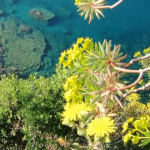 Giardino-didattico-Sestri-Levante