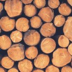 sutrio la magia del legno edizione 2016