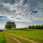 sviluppo-sostenibile-decreto-crescita