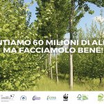 un-albero-in-più