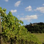 comunità ospitale di bertinoro, un weekend dedicato a vini e sapori