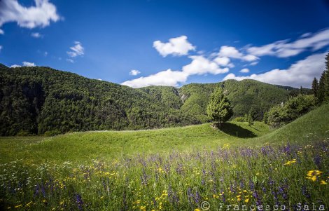 forni di sotto passeggiata nel tempo