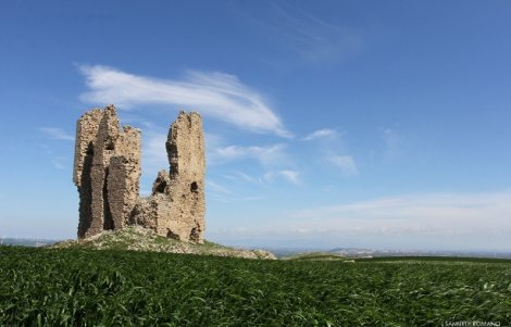 Avviso-pubblico-tutor-dellospite-monti-dauni-ph.Samuele Romano