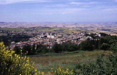 Laurea-Castelnuovo-della-Daunia