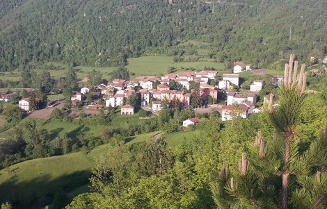 Cerignale