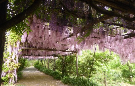 Giardino-segreto-della-anima-foto-antonio-de-marco