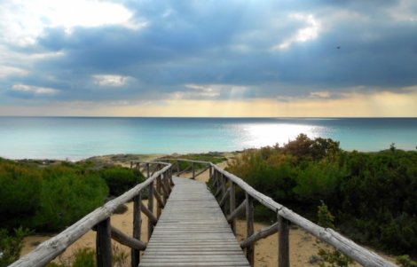 Maruggio-Dune-di-Campamarino