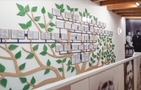 Masulla-Albero-delle-Identità