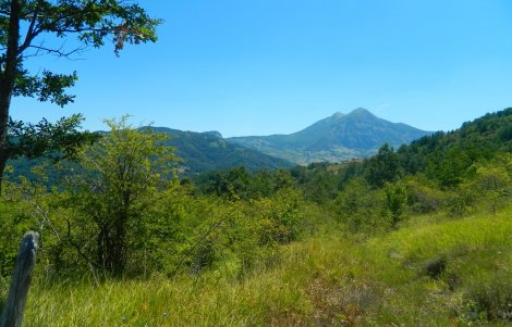 Ferragosto-alternativo-Moliterno