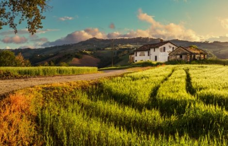 Monteleone-di-Fermo-panoramica-campagna